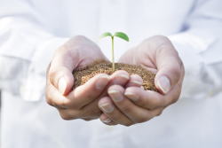 �s���Y�\���̎x���ƃT�|�[�g