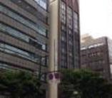 �����������̉摜