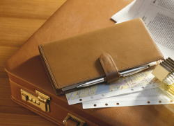 �s���Y�E���^�łȂǂ̊m��\��