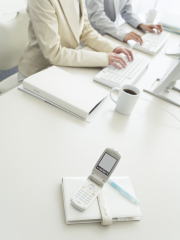 �s���Y�����ł̌o���Ɩ�